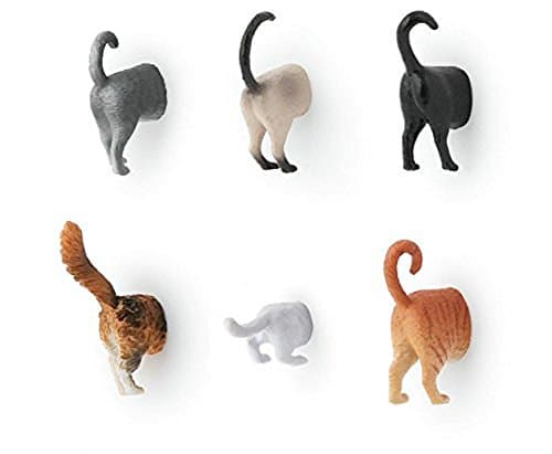 Cat Butt Fridge Magnets
